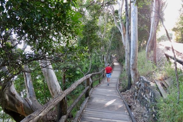 Walking-to-the-Noosa-National-Park
